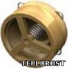 VYC 172-01-150 клапан обратный бронзовый